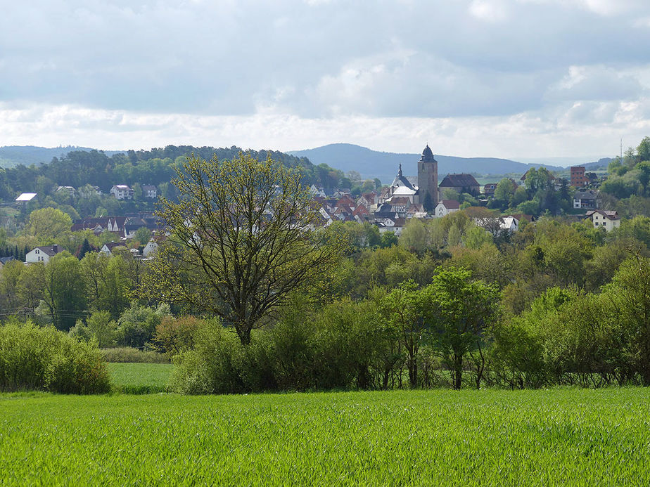 Bittprozession an der Weingartenkapelle (Foto: Karl-Franz Thiede)